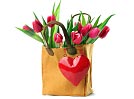 Bag of Tulips