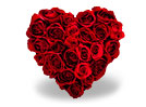 Heart of Roses