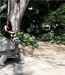 zoo